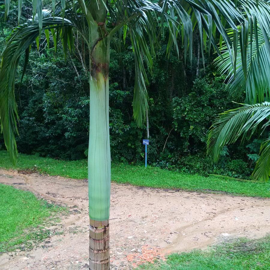 Suites Ubatuba Praia Da Lagoinha Kültér fotó